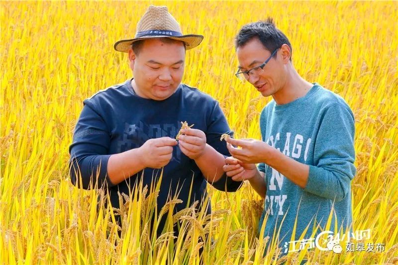 请欣茵茵老师演绎王楼老师佳作/制作宋梅【中国长江文学社】有声文学平台【第6340期】（图4）