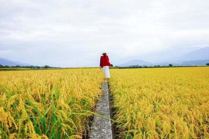 金秋谱曲你我唱（诗人唱和）文：神马 江花【长城总社】世界诗人名人展（10490）（图11）