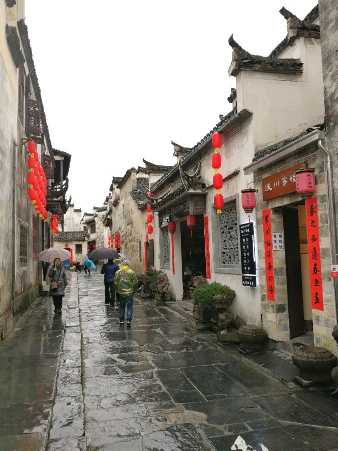 淡然,人生最美的风景(图2)