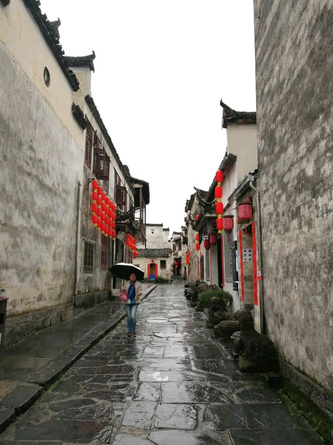 淡然,人生最美的风景(图3)