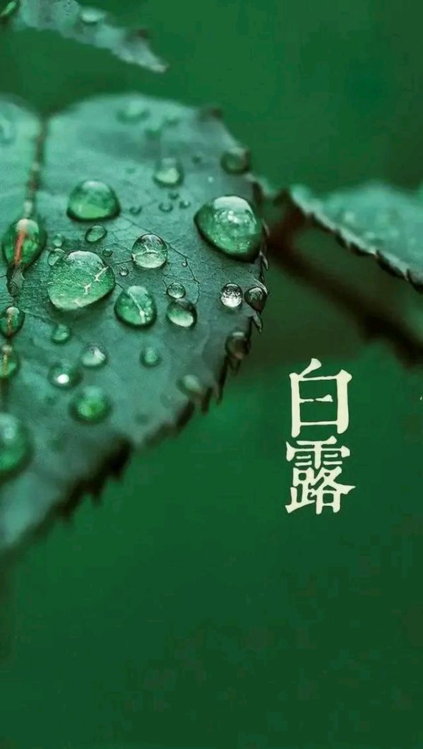【荣耀中国】唐多令. 白露吟（刘过体）作者/李开英（安徽）（图2）