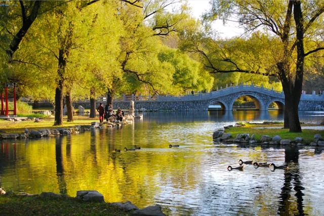 【新山东文学社】散文:《秋醉阳溪湖》作者/追梦 主播/笑笑（图4）