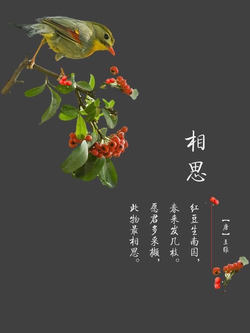 《词牌展播》作者:谭威华【桃源国际诗歌集团】古韵·展播（图9）