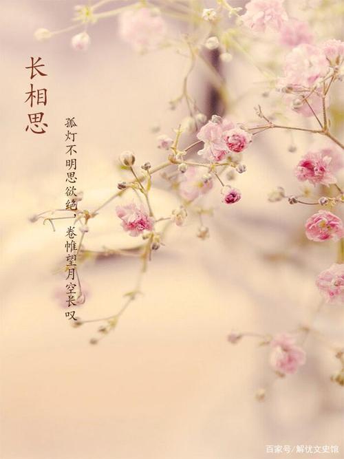 《词牌展播》作者:谭威华【桃源国际诗歌集团】古韵·展播（图10）