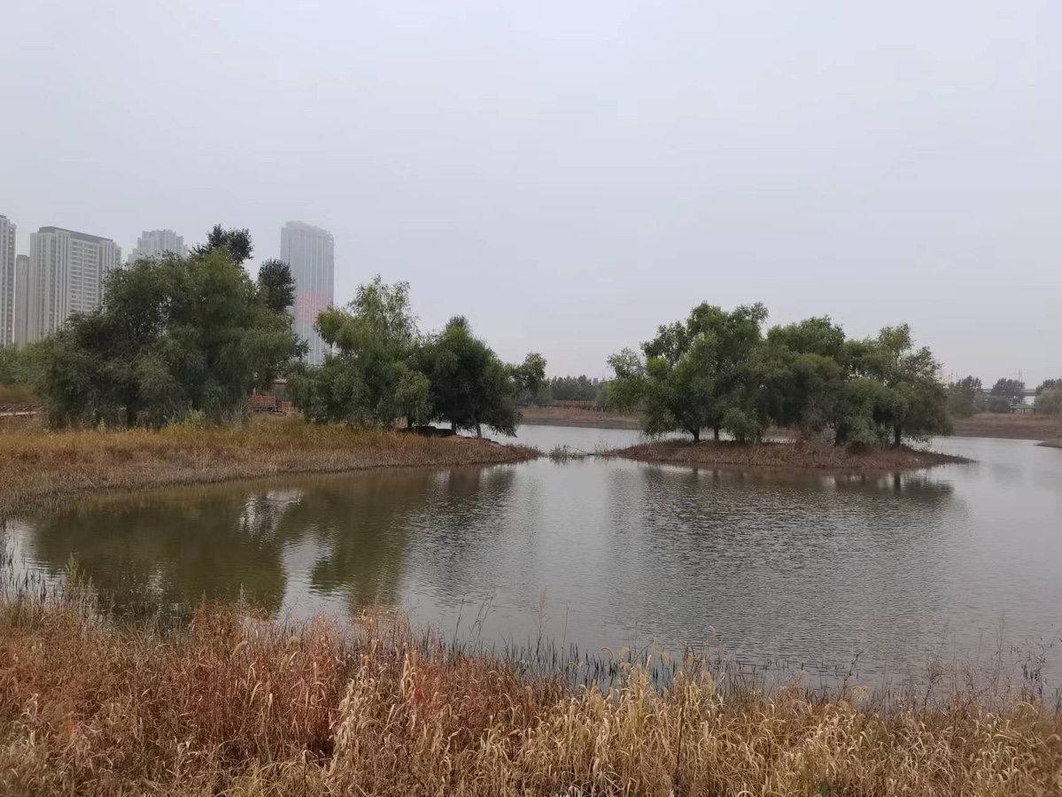《又见秋色》作者：胡玉滨 诵读：金钟（图5）