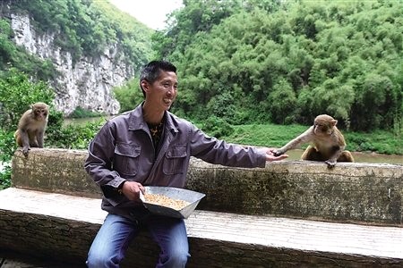 赞百猴渡江~诗||谭平海(图13)