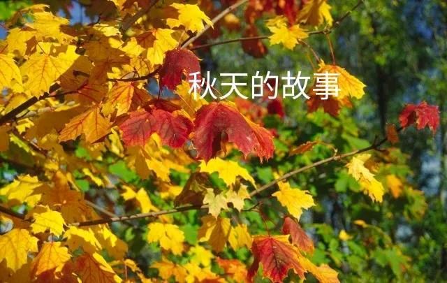 【五彩缤纷的秋天～在美丽乡村田园】作者/罗定友～（广东）我和原唱/小芳合唱｛今夜忽然很想你｝（图9）