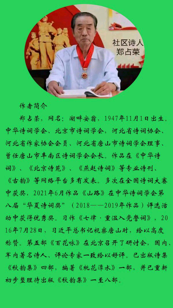 中华诗艺黑龙江分社微刊第191期(图13)