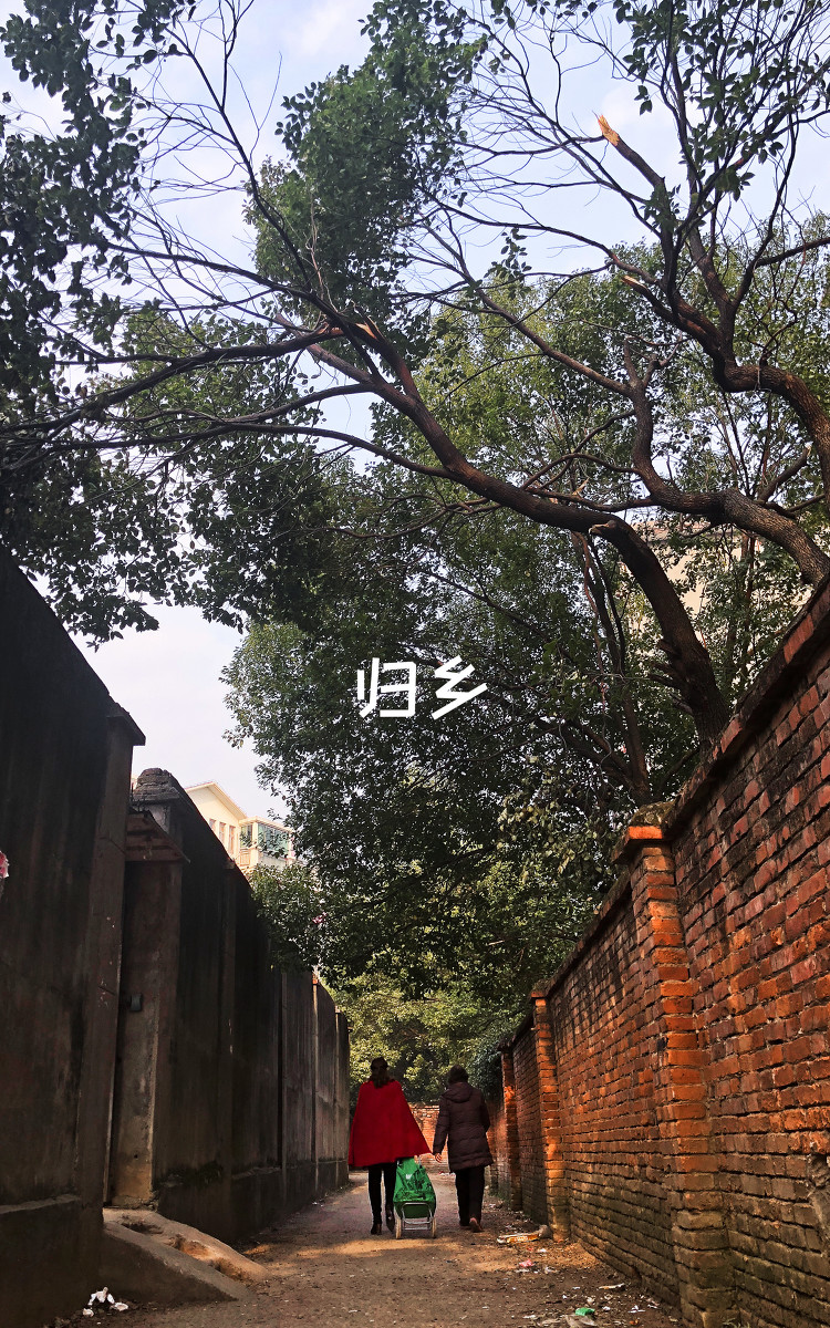 七律·乡归(文/冯清明)……莲叶之珠文学社(图3)