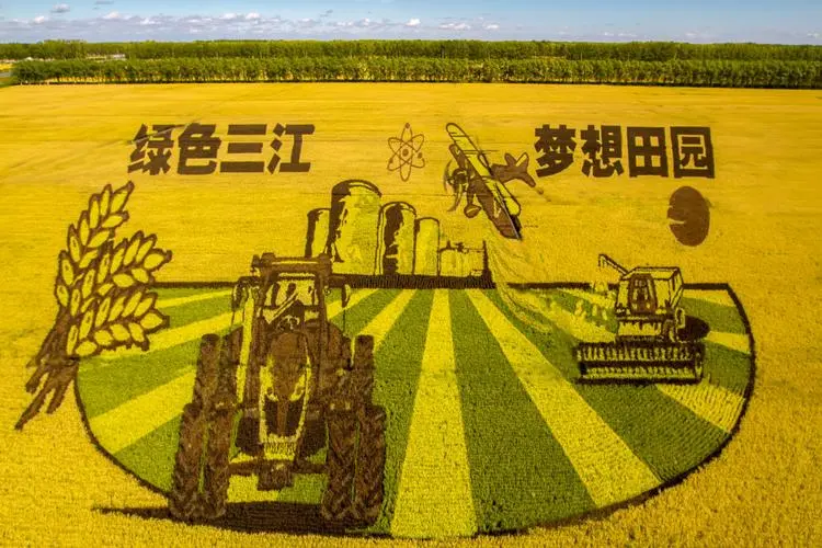 建三江‖巴彦诗协诗词卷【579】（图3）