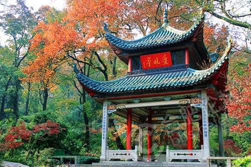 张昕秋韵诗词六首（图5）