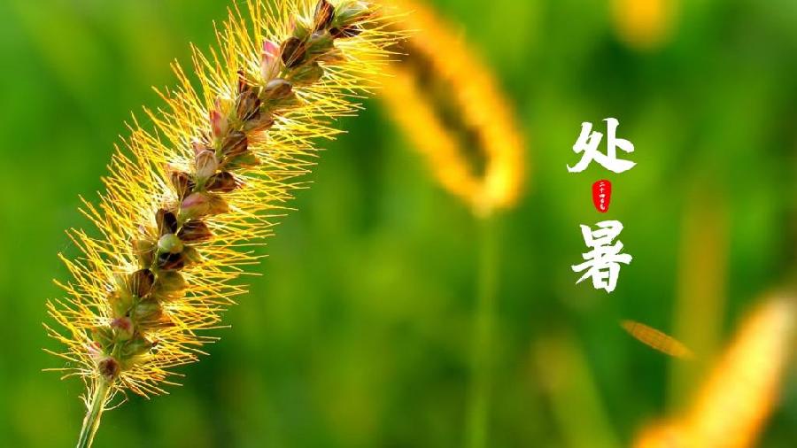 【神州源流诗苑】第1025期优秀现代诗 等《都市头条》周刊(图4)