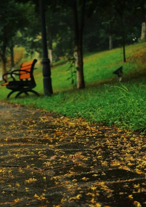 《雨说》作者:吴丽跃‖主播:我还是我【中国现代诗歌文化传媒】徜徉诗的海洋，聆听天籁之声♬（图6）