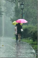 《雨说》作者:吴丽跃‖主播:我还是我【中国现代诗歌文化传媒】徜徉诗的海洋，聆听天籁之声♬（图4）