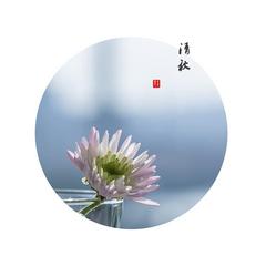 《清秋》作者:诗‖主播:安心的味道【桃源国际诗歌集团】桃源♬ 馨声（图5）