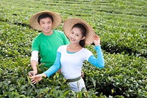 七律-花蘑菇(外二首)诗||白小文(图14)
