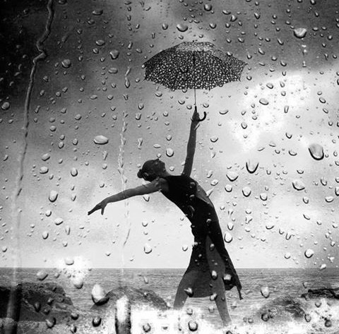 【海外诗译】精品双语朗诵《闻听雨声》作者|高溪溪、英译|静好、审译|任诚刚、朗诵|薇薇(图5)