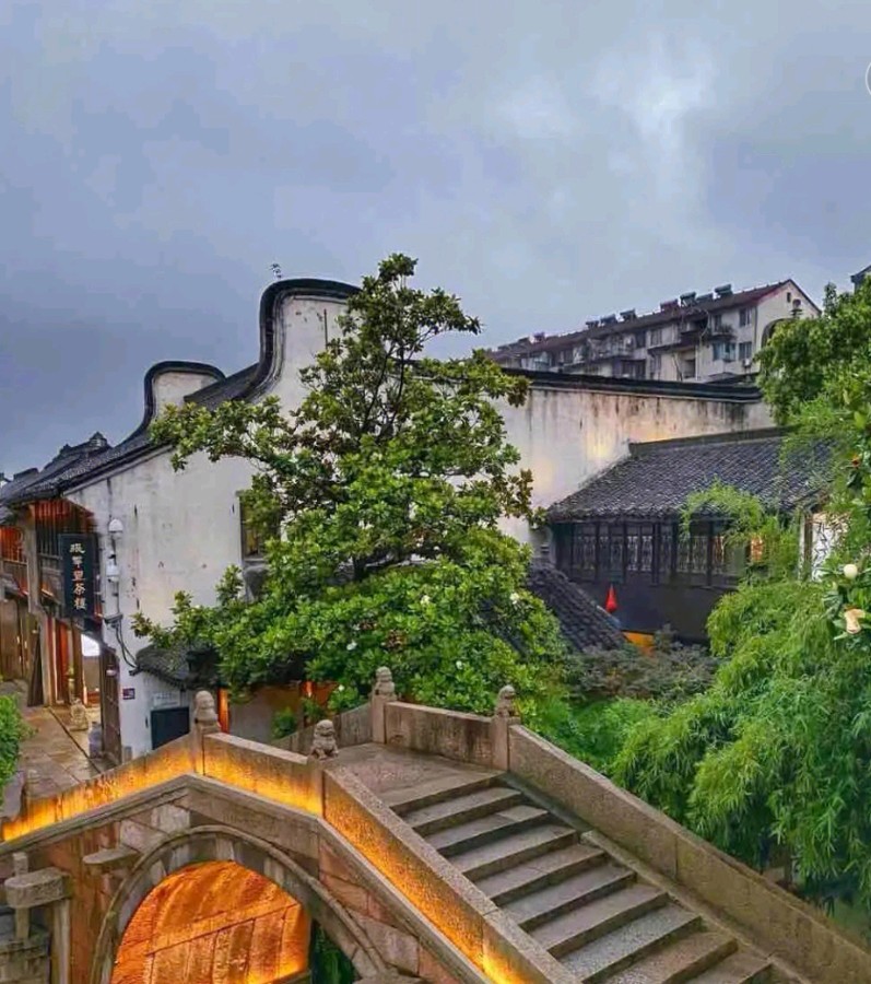 【荣耀中国】分别在秋天文／卢进国（湖北）（图2）