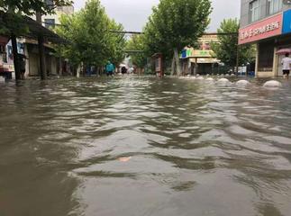 《感恩这一跪》作者:刘汉兴‖主播:我还是我【中国现代诗歌文化传媒】徜徉诗的海洋，聆听天籁之声♬（图5）