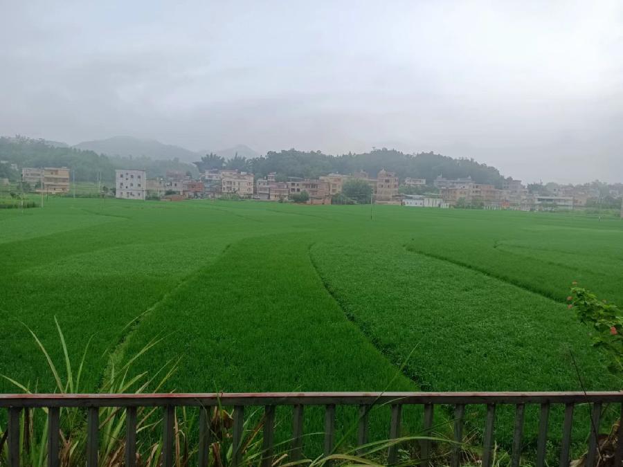 【重磅推出】曾培方//揭西县独山行｛外二首｝（图6）