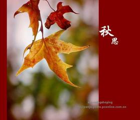 《仍然》作者:秋谷‖主播:刘树清【桃源国际诗歌集团】用声音传递温暖以诵读致敬人生♬（图5）