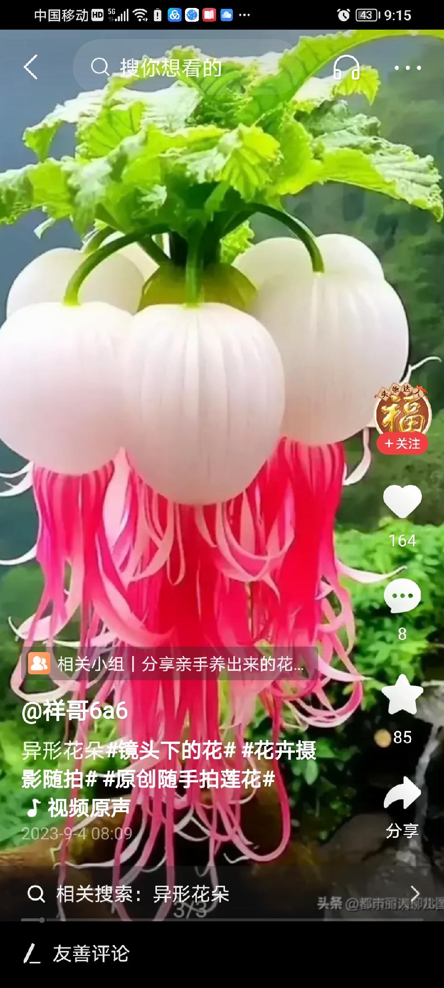 ［摄影诗文栏］五绝·此物色儿鲜（文/方立新）……莲叶之珠文学社