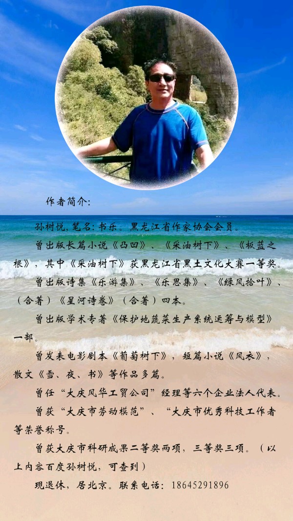 中华诗艺黑龙江分社微刊第195期(图23)