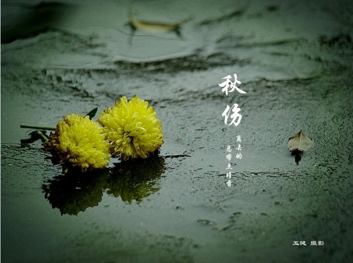 蝶恋花·伤秋绪（文/韩满林）……莲叶之珠文学社（图4）