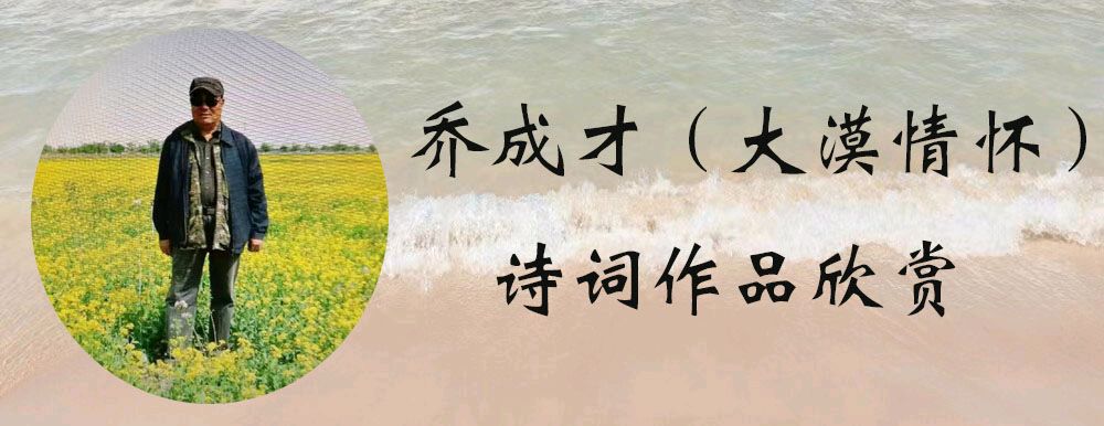 中华诗艺黑龙江分社微刊第195期(图28)