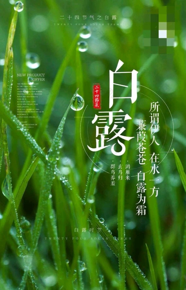 五律-癸卯白露（组合）诗||于兴庆（图9）