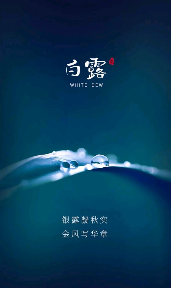 五律-癸卯白露（组合）诗||于兴庆（图15）
