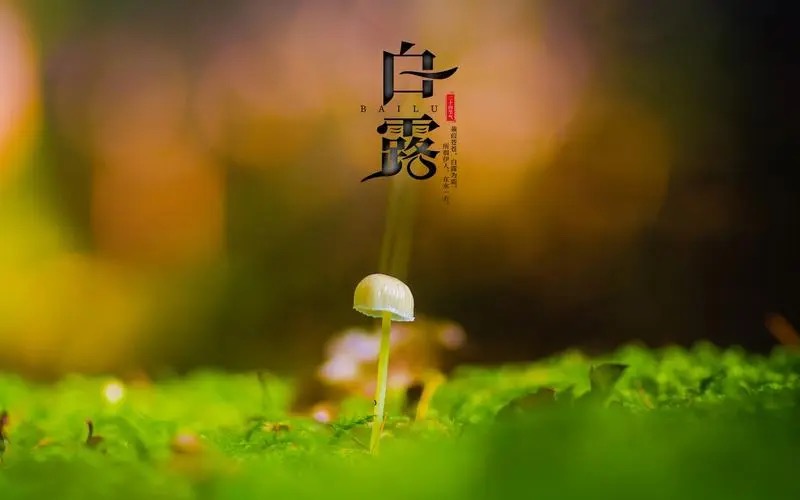 【新诗大观】白露诗五首||文/张道发（图2）