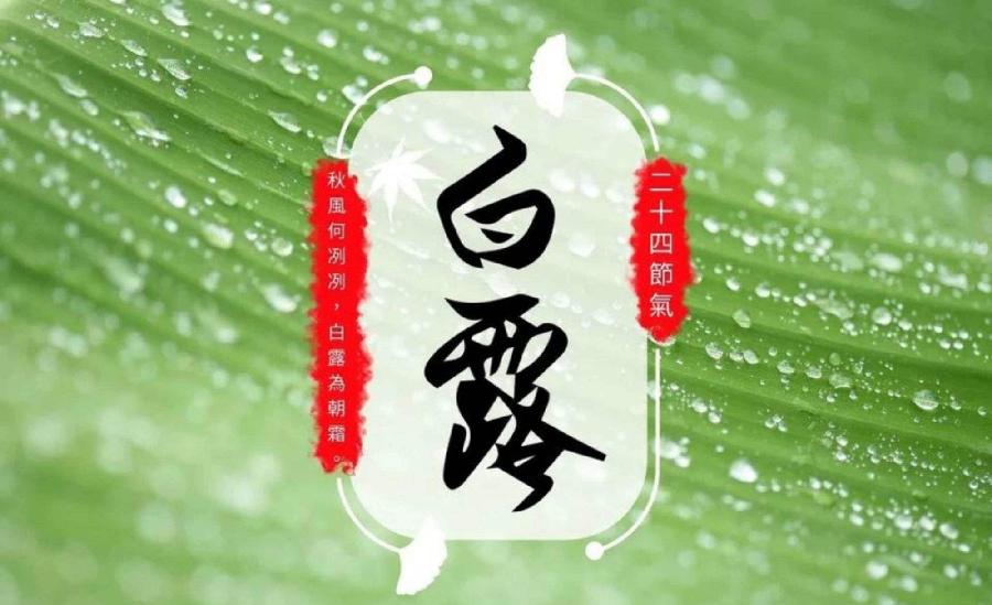 【新诗大观】白露诗五首||文/张道发（图5）