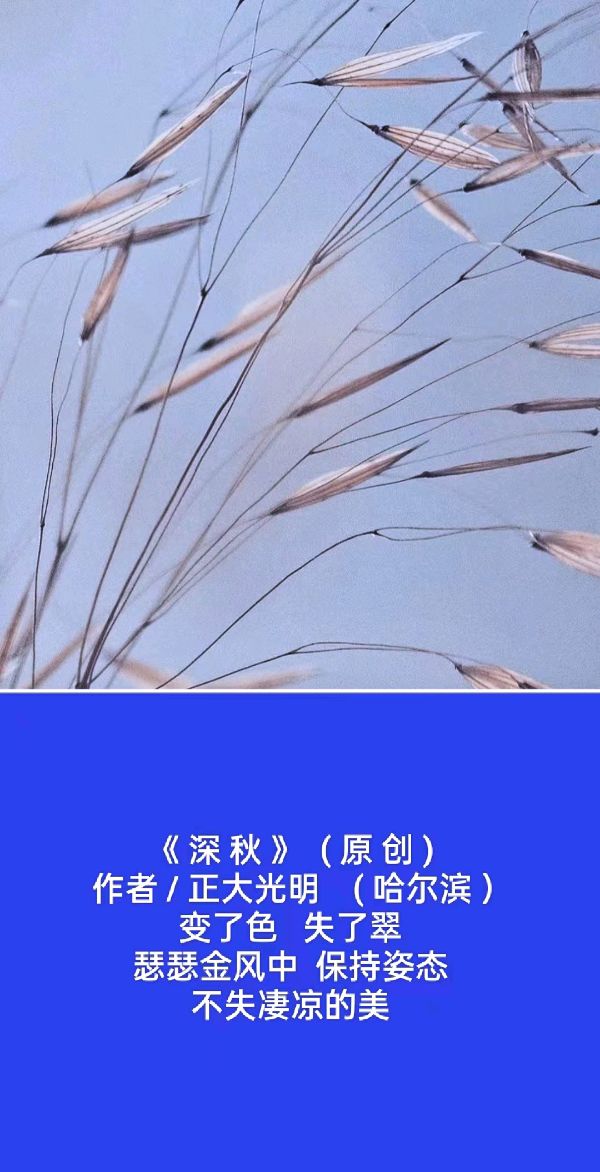 【题图微诗三首】《衬托》《深秋》《月光下》作者/正大光明(哈尔滨)(图4)
