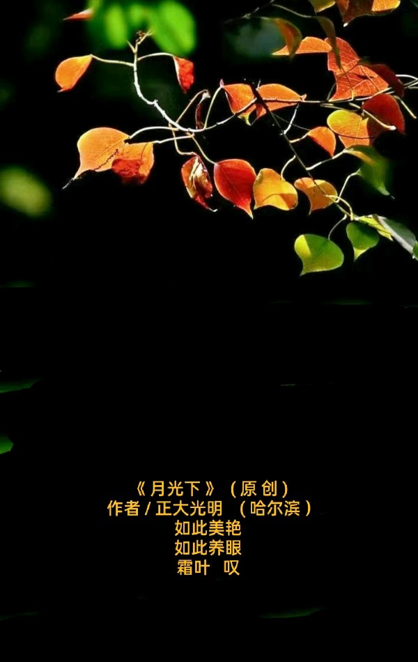 【题图微诗三首】《衬托》《深秋》《月光下》作者/正大光明(哈尔滨)(图5)