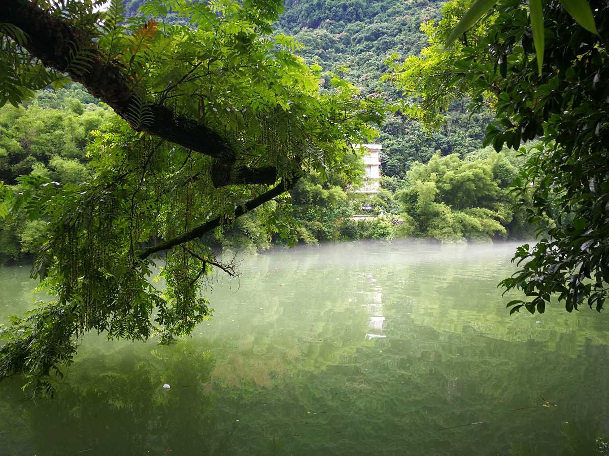 早春的树林