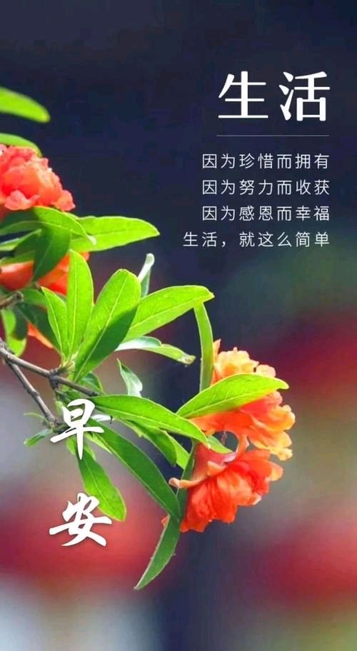 《早上》作者:任学路‖主播:马志宏【中国现代诗歌文化传媒】徜徉诗的海洋，聆听天籁之声♬（图6）