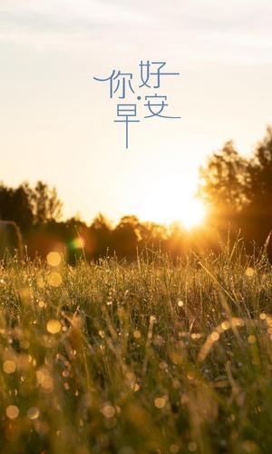 《早上》作者:任学路‖主播:马志宏【中国现代诗歌文化传媒】徜徉诗的海洋，聆听天籁之声♬（图4）
