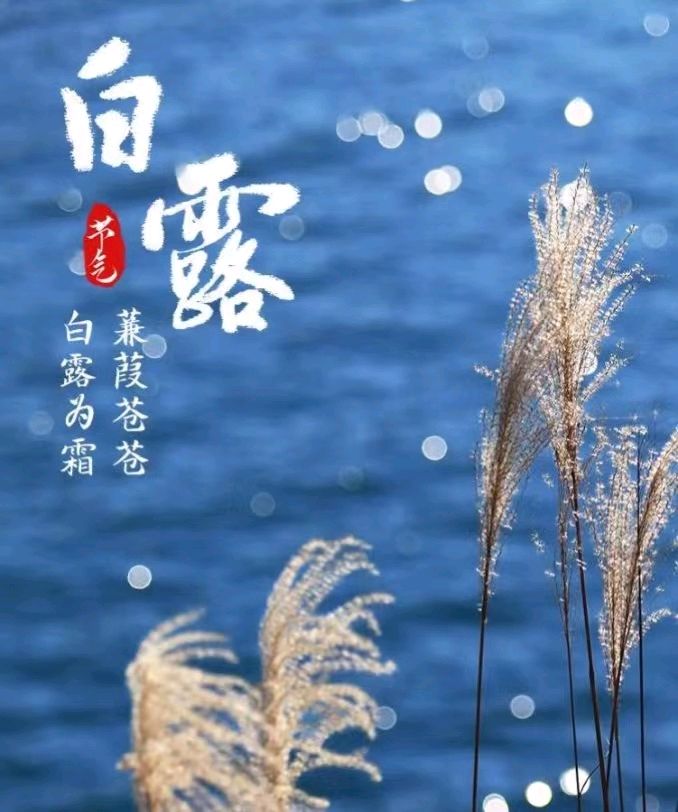 【荣耀中国】白露作者/张建彪（图2）