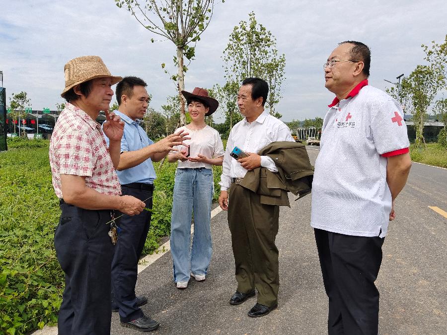 资讯‖快来围观:风景恒暉更好‖作者:西江(文)丨明杰(图)