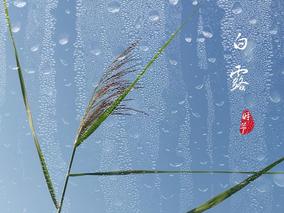 联机全球发布吴华龙作品欣赏（图3）