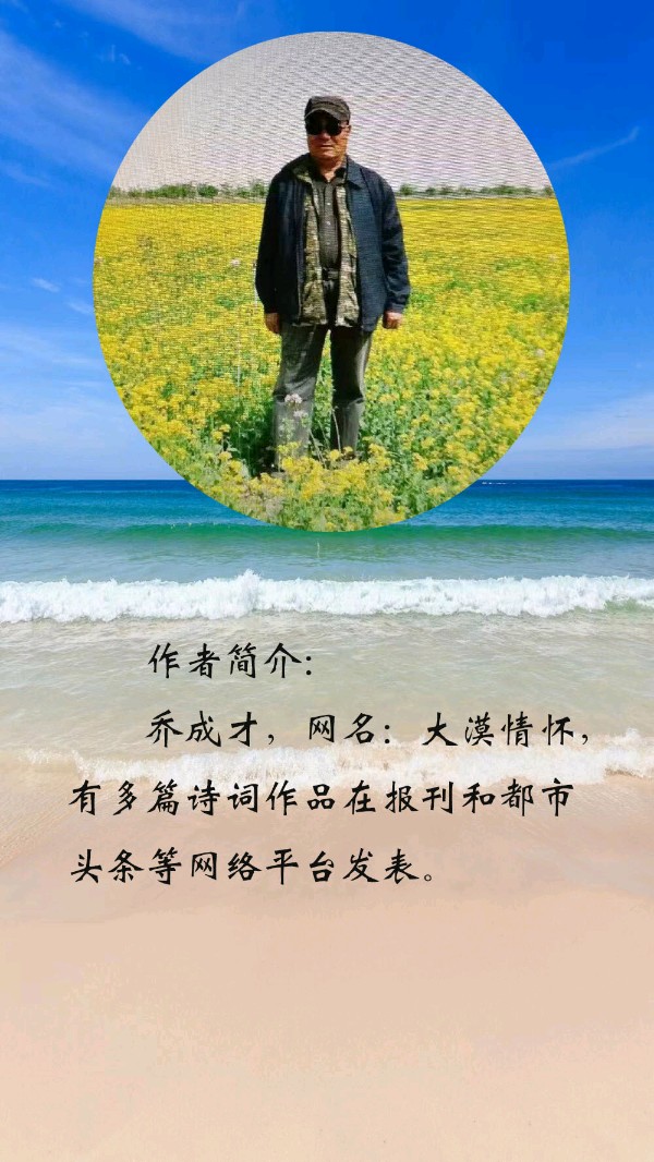 中华诗艺黑龙江分社微刊第197期(图33)