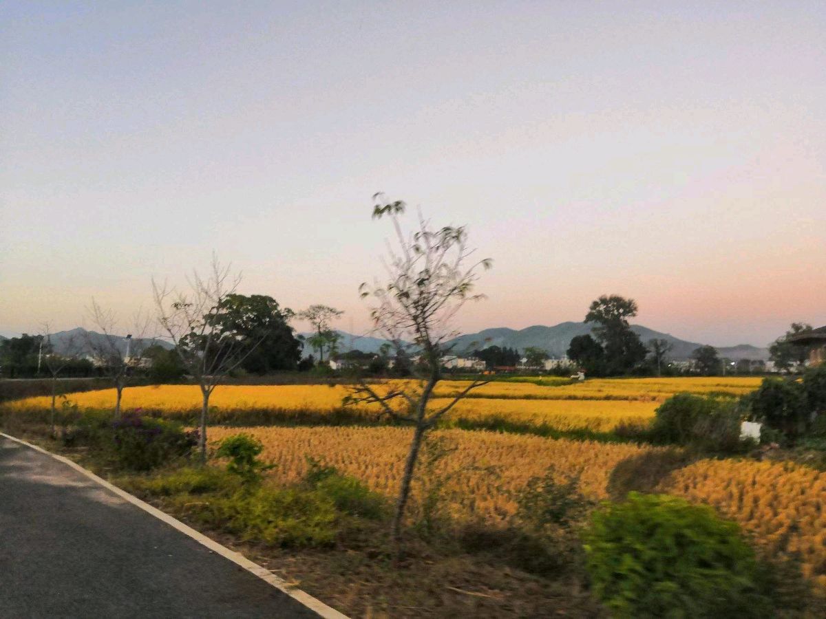 *咏 秋*文／山乡（湖北）【冰心文化传媒】（图3）