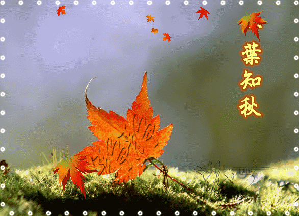 *咏 秋*文／山乡（湖北）【冰心文化传媒】（图6）