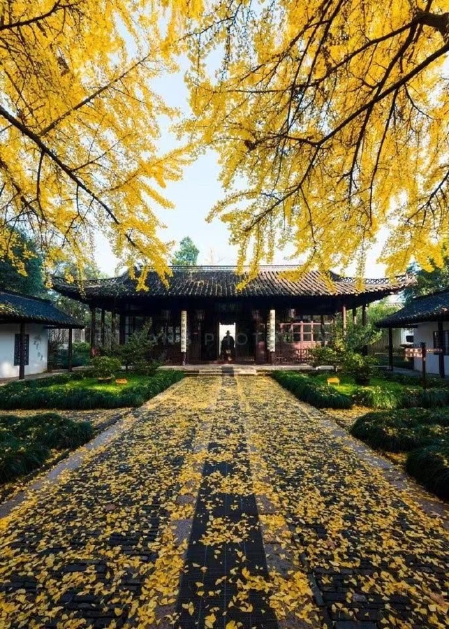 《白露放歌. 诗三篇》文：山之子（北京）长安街总社【世界诗人名人展】（10513）（图6）