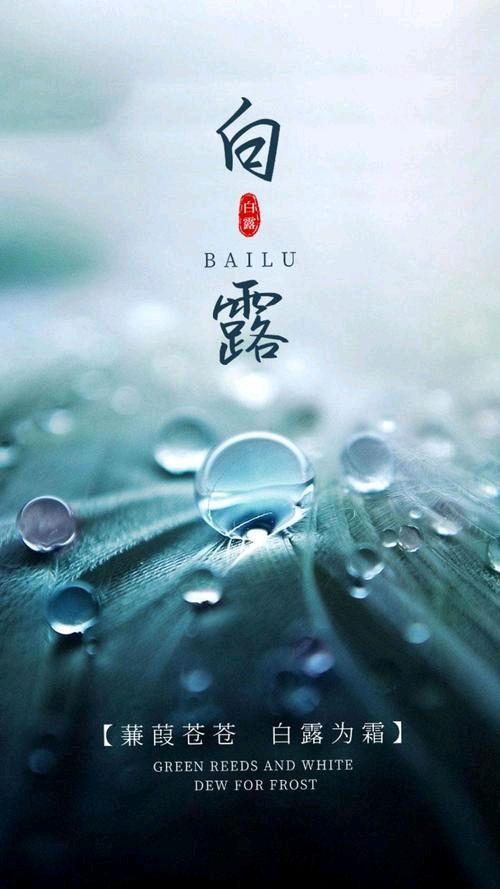 《九江文学社：北京头条》《白露节气》专刊【总第1811】（图6）