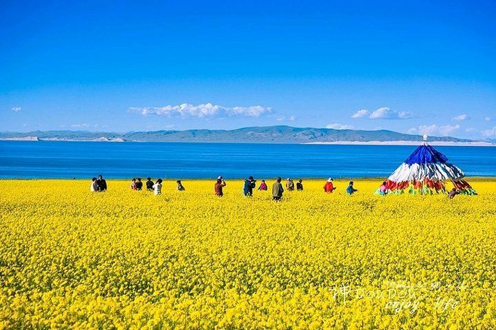《九江文学社：北京头条》《白露节气》专刊【总第1811】（图3）