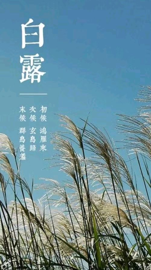 《九江文学社：北京头条》《白露节气》专刊【总第1811】（图20）