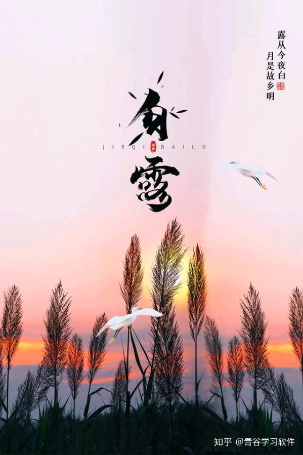*诗词小辑*作者：陈军（江西）【冰心文化传媒】主编冰心（图3）