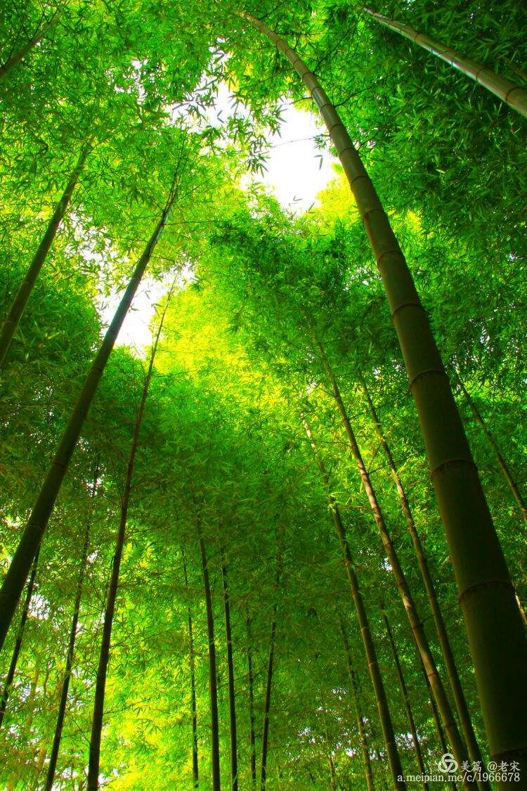 【神州源流诗苑】第1029期优秀近体诗《都市头条》周刊(图8)